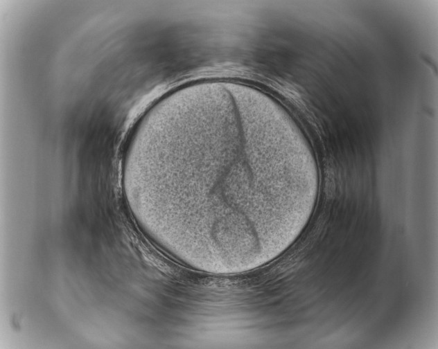 X0000102481366200809051346