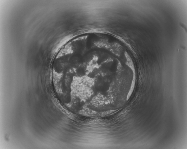 X0000102481367200809051346