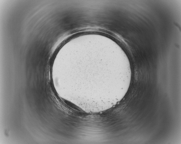 X0000102481368200809051346