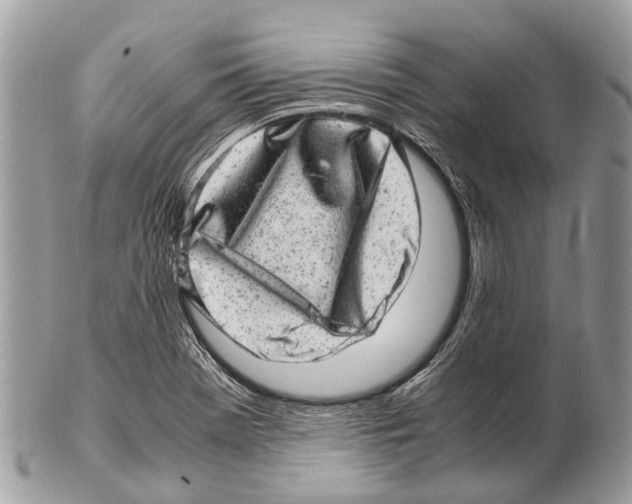 X0000102481369200809051346