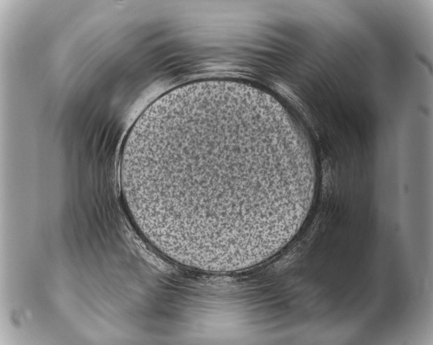 X0000102481370200809051346