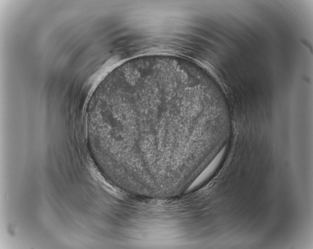 X0000102481371200809051346