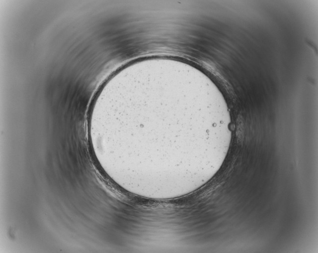 X0000102481372200809051346