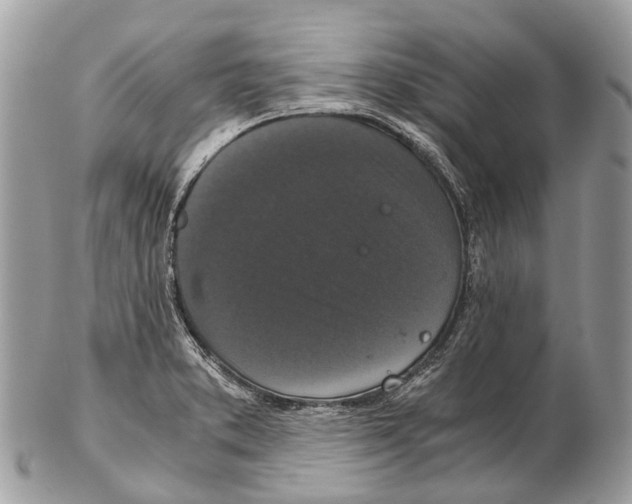 X0000102481373200809051346