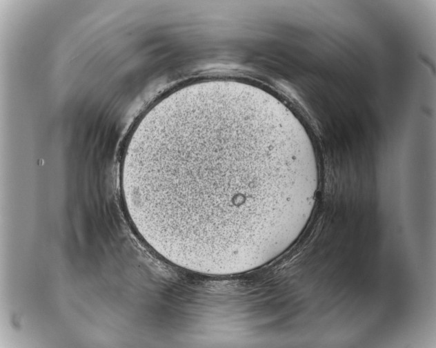 X0000102481376200809051346