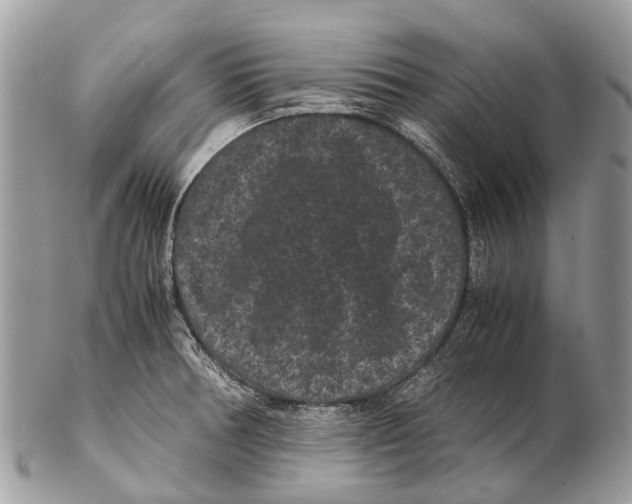 X0000102481378200809051346