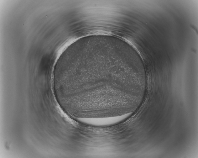 X0000102481379200809051346