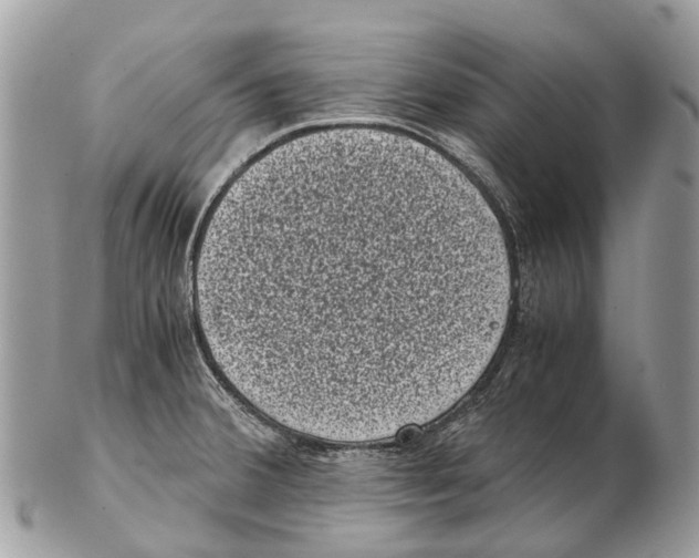 X0000102481380200809051346