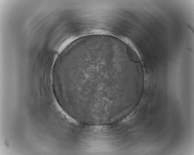 X0000102481381200809051346