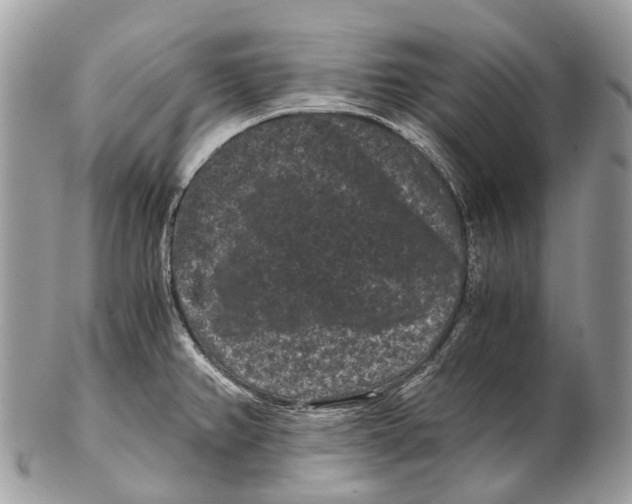 X0000102481382200809051346