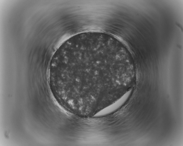 X0000102481383200809051346