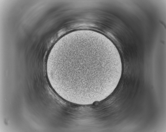 X0000102481384200809051346