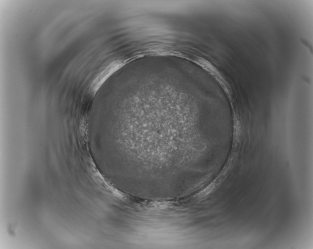 X0000102481385200809051346