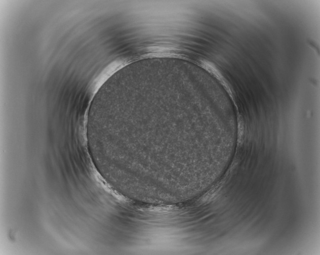 X0000102481386200809051346