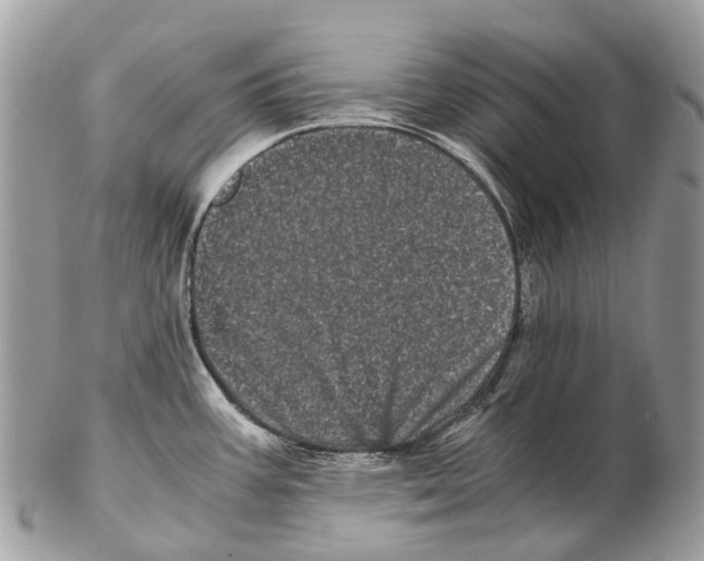 X0000102481387200809051346