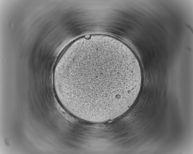 X0000102481388200809051346