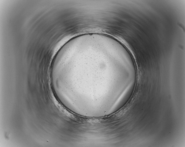 X0000102481389200809051346