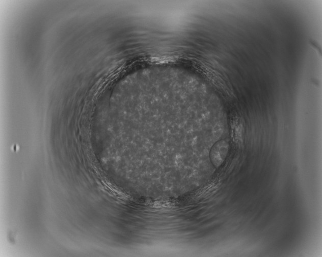 X0000102481393200809051345