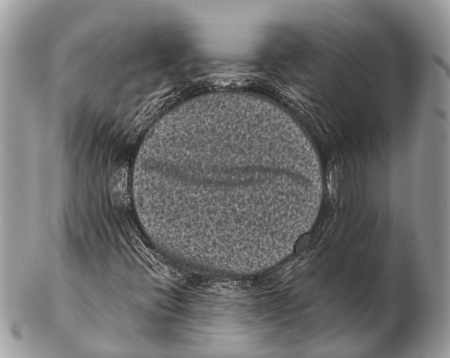 X0000102481396200809051345