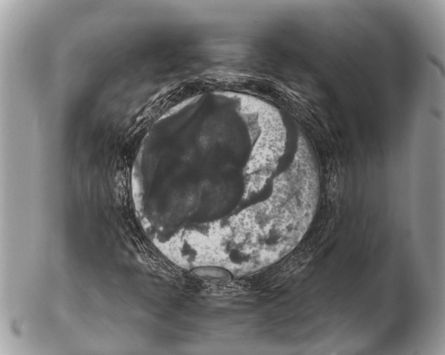 X0000102481397200809051345