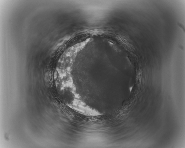 X0000102481398200809051345