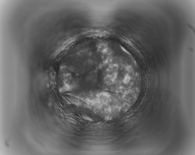 X0000102481399200809051345