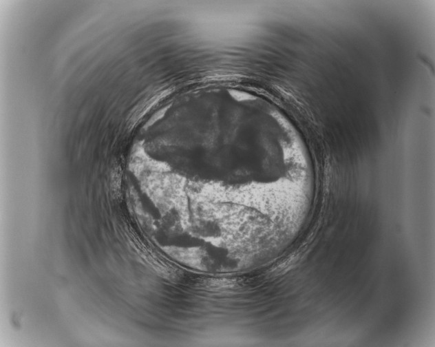 X0000102481401200809051345