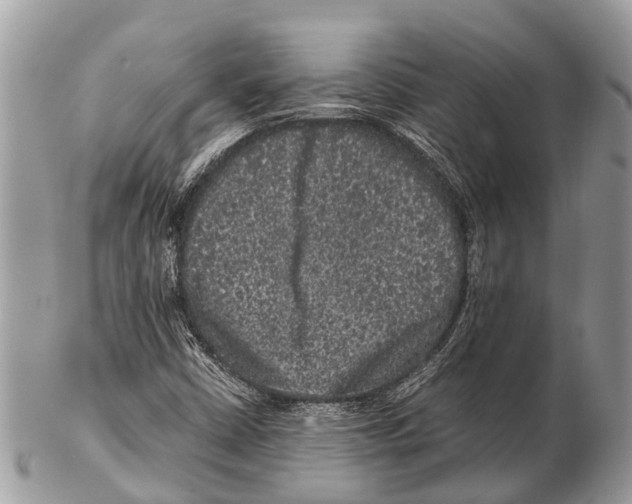 X0000102481402200809051345