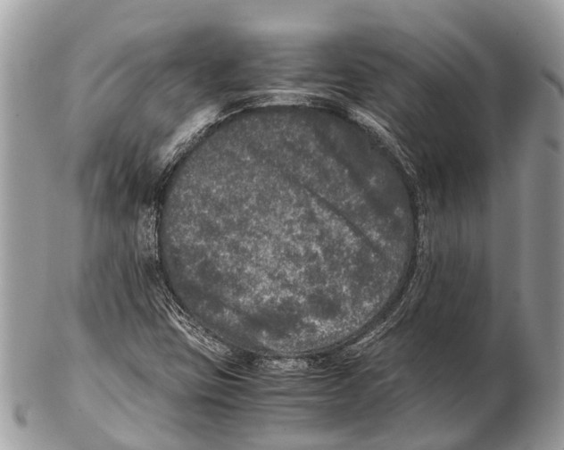 X0000102481403200809051345