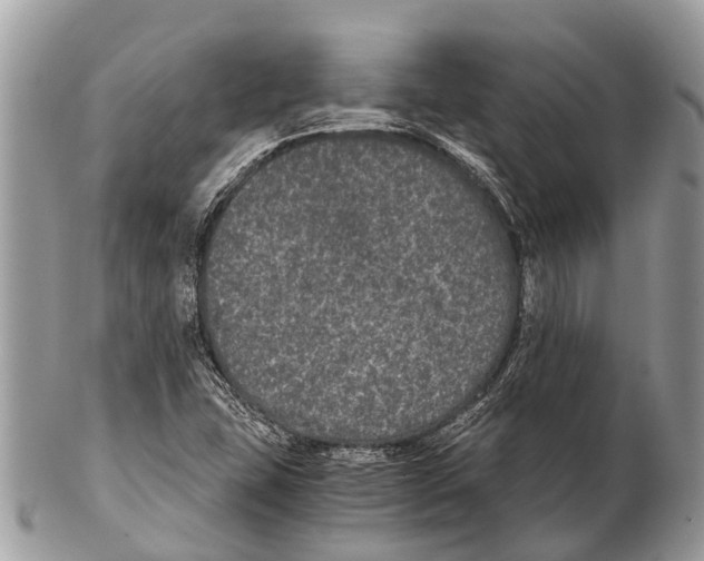 X0000102481407200809051345