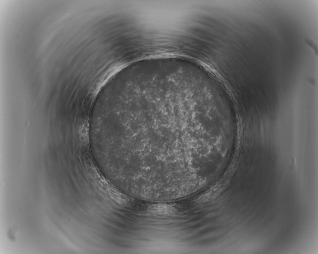 X0000102481409200809051345