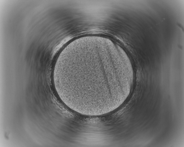 X0000102481410200809051345