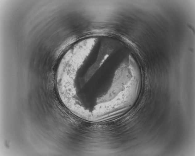 X0000102481411200809051345