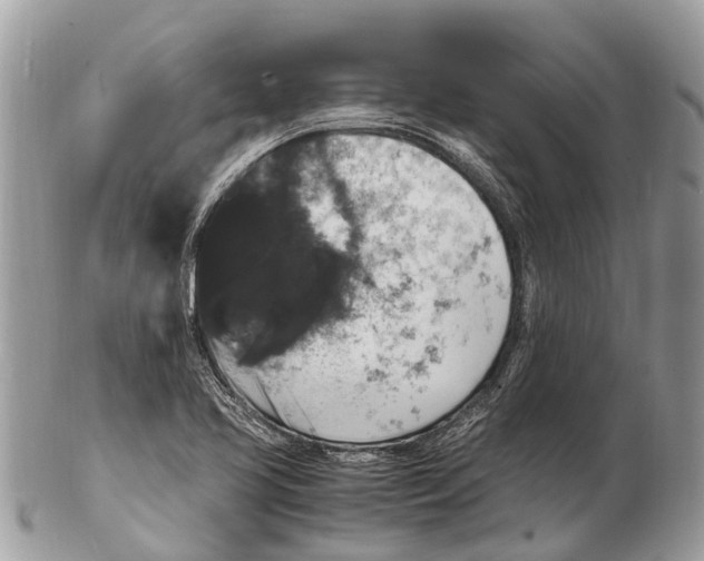 X0000102481413200809051345