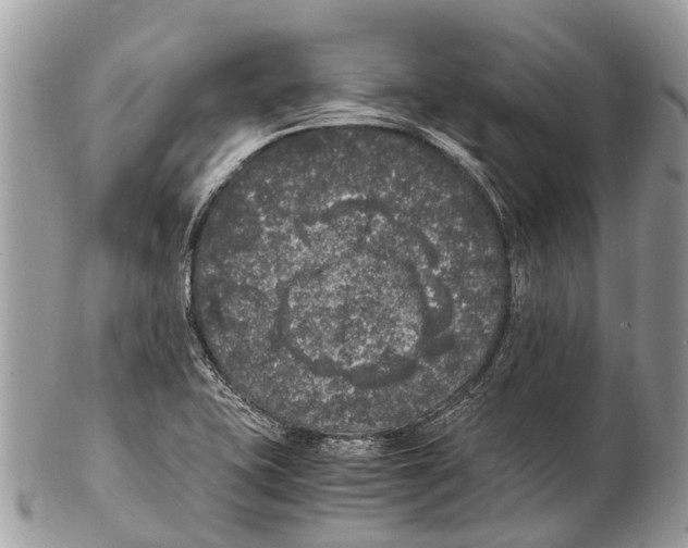 X0000102481415200809051345