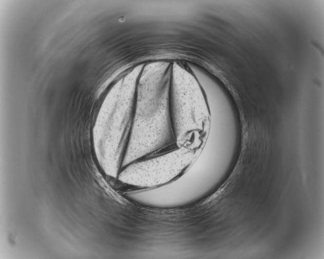 X0000102481417200809051345