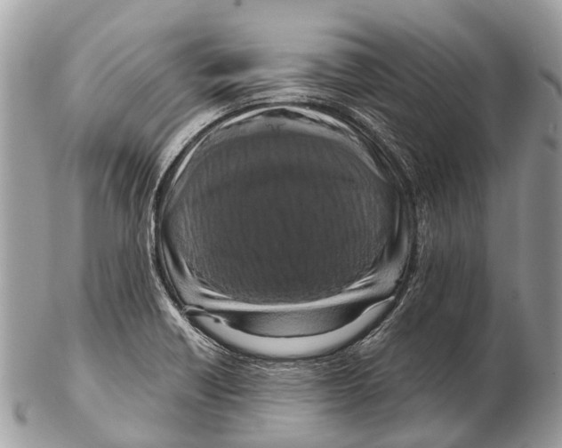 X0000102481418200809051345