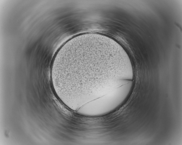 X0000102481420200809051345