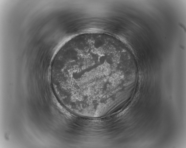 X0000102481421200809051345