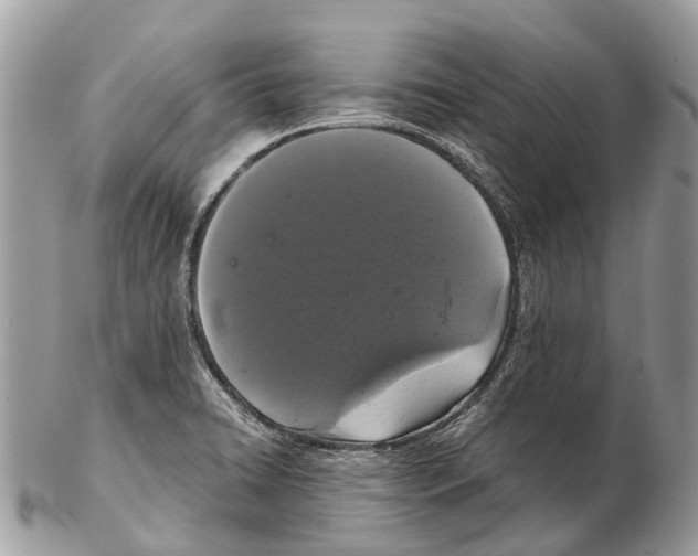 X0000102481422200809051345