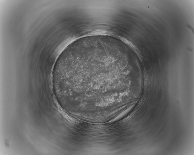 X0000102481423200809051345