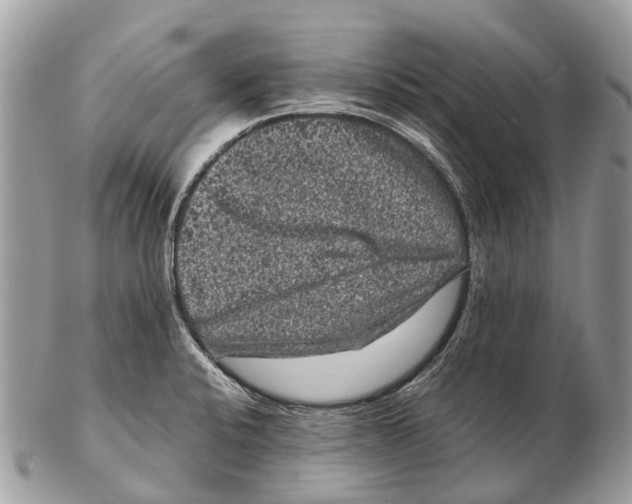 X0000102481424200809051345