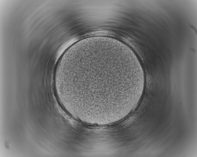 X0000102481426200809051345