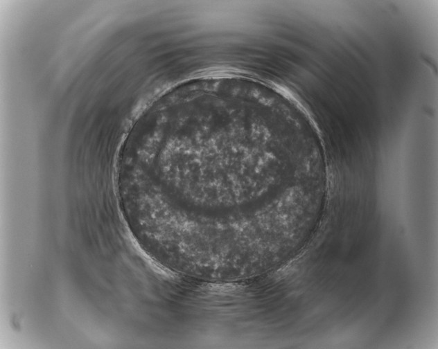 X0000102481429200809051346