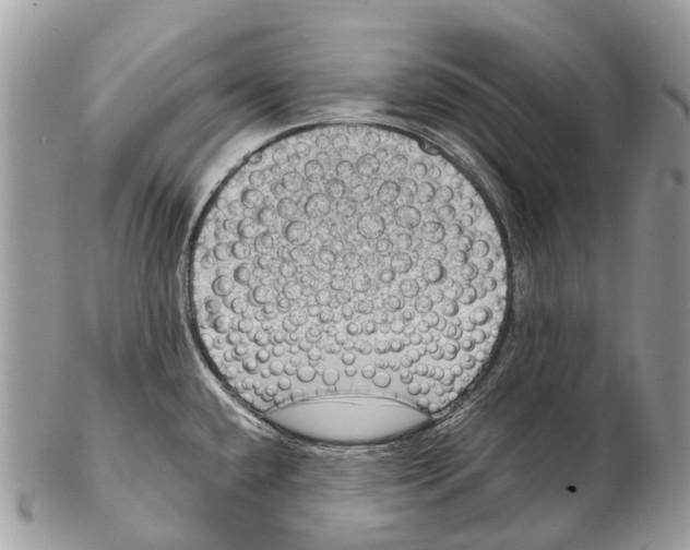 X0000102481432200809051346