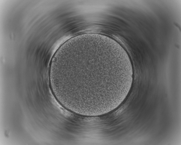 X0000102481434200809051346