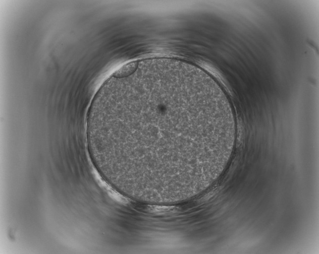 X0000102481439200809051346