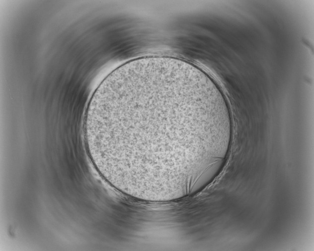 X0000102481440200809051346