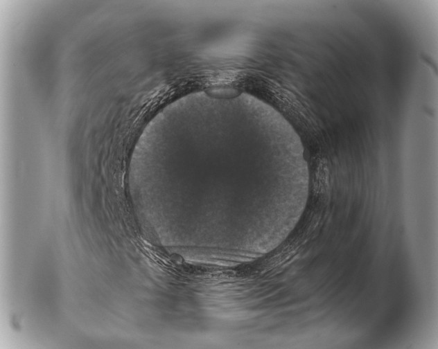 X0000102481441200809051345