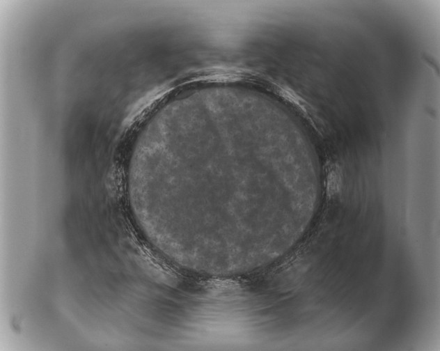 X0000102481448200809051345